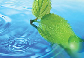 Es�v&iacute;z, csapad&eacute;kv&iacute;z